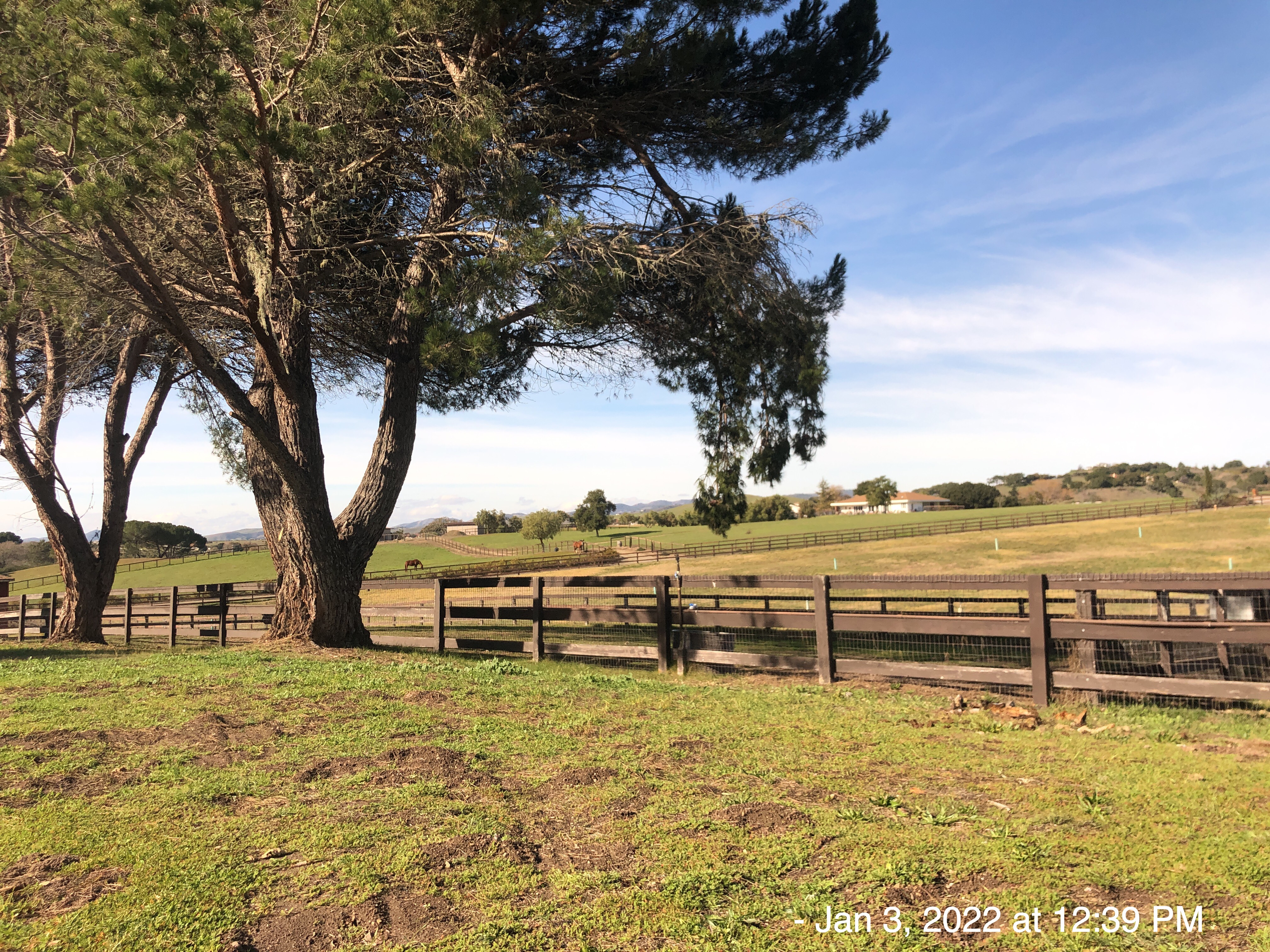 2022-01: Solvang, California