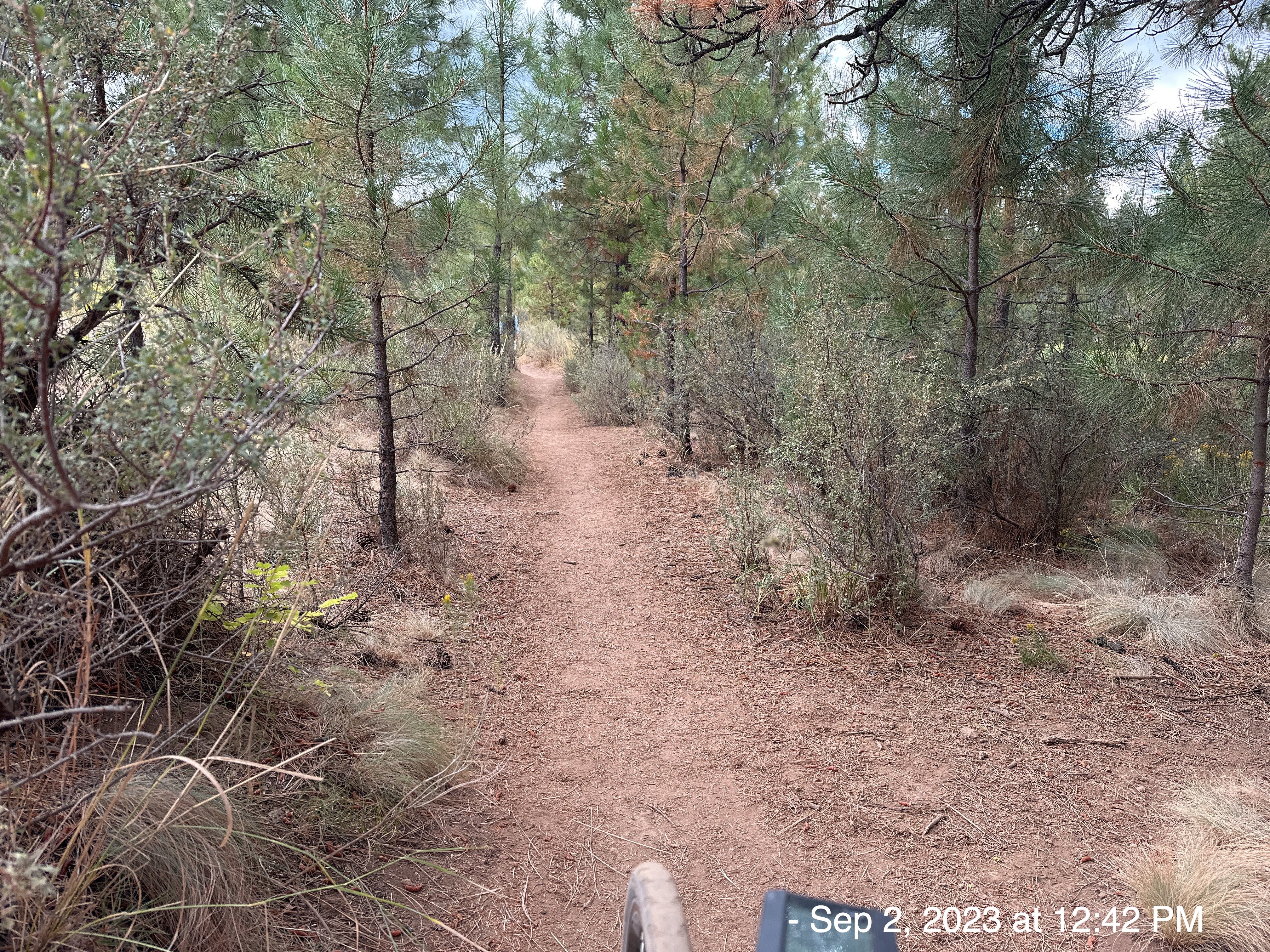 2023-09-02: Deschutes River Trail