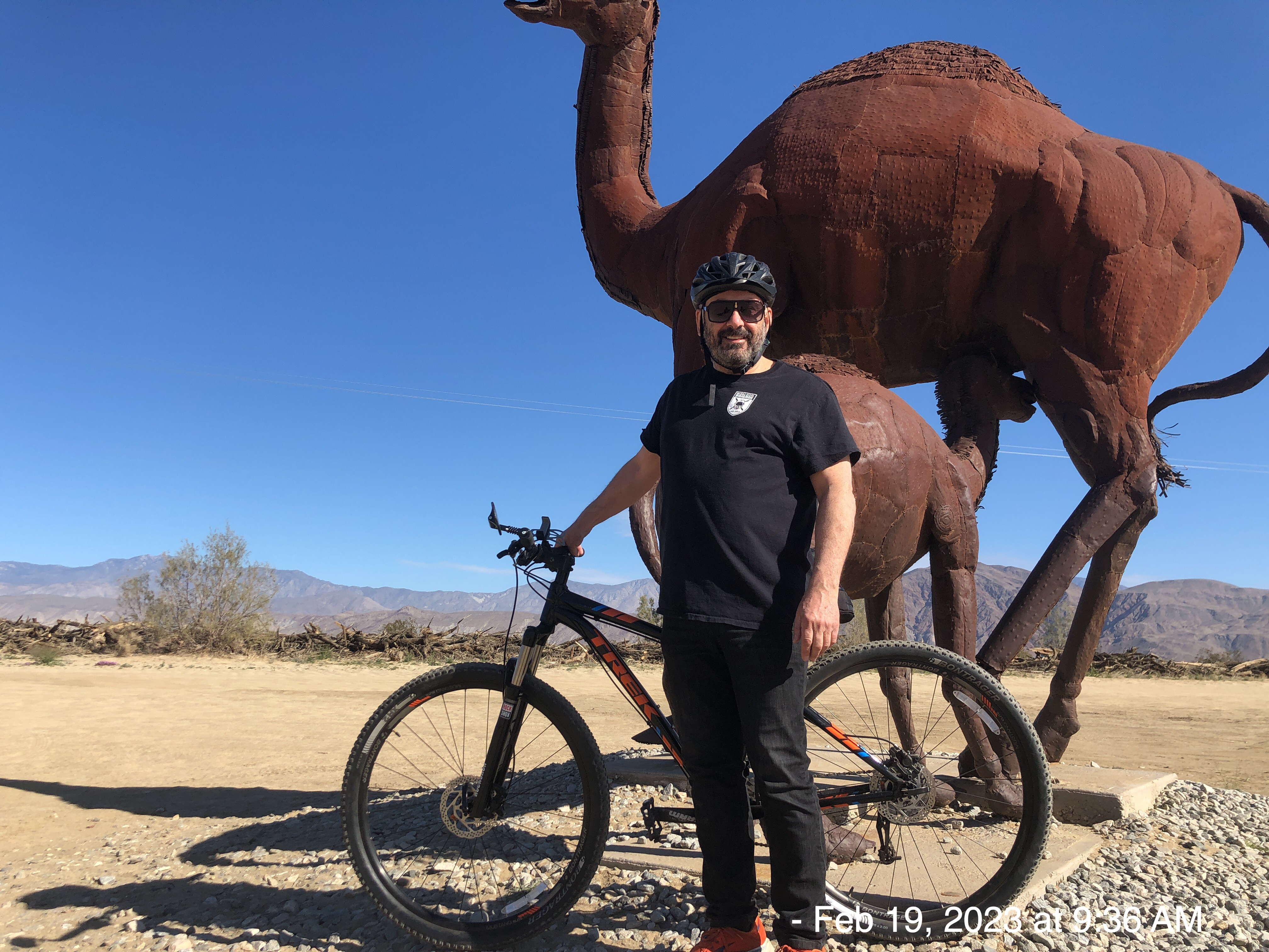 2023-02: Tamarisk Grove Campground, Anza-Borrego Desert State Park