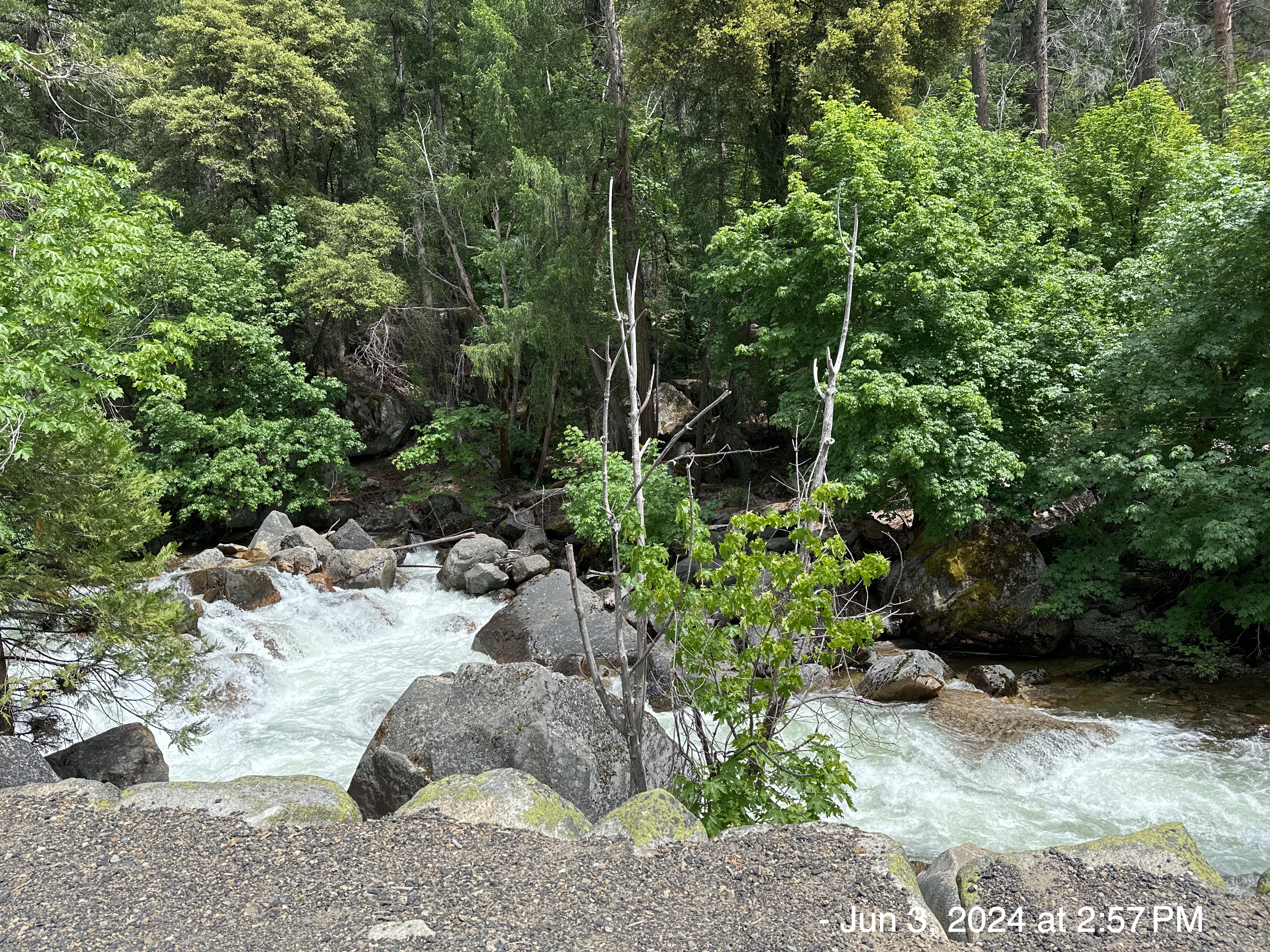 2025-07: Difference, Becoming, and Flow