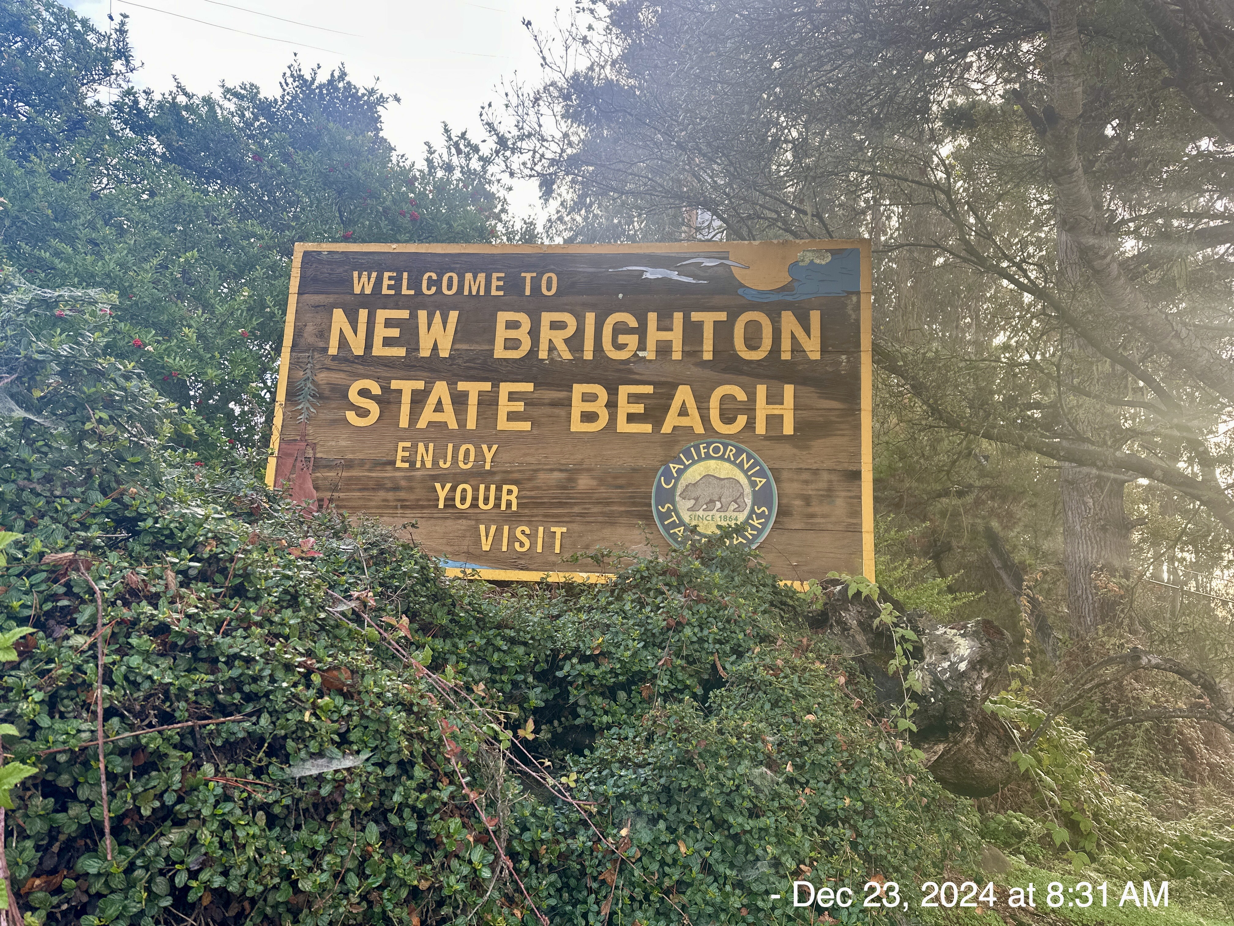 2024-12-23: New Brighton State Beach