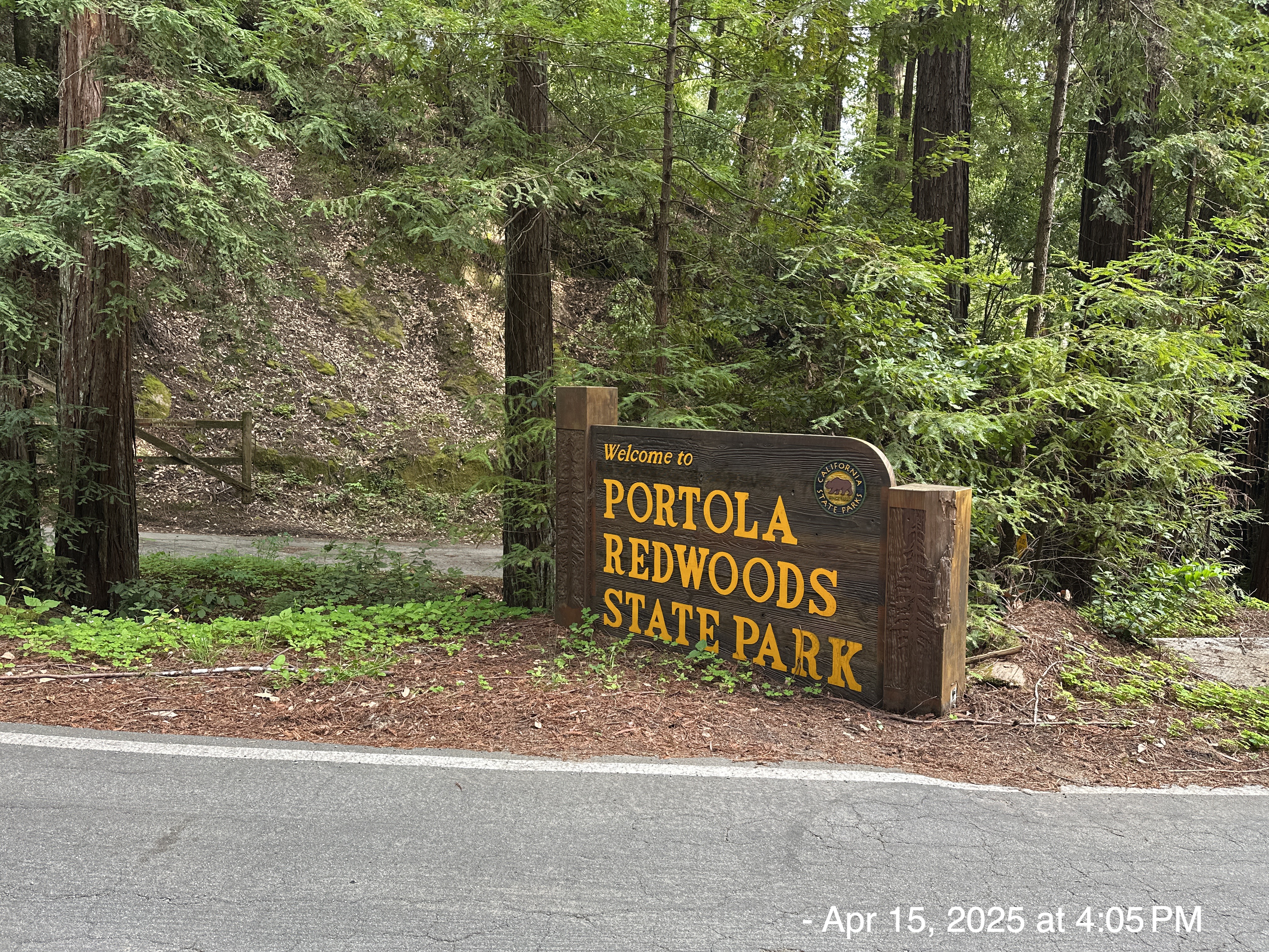 2025-04-15: Portola Redwoods State Park