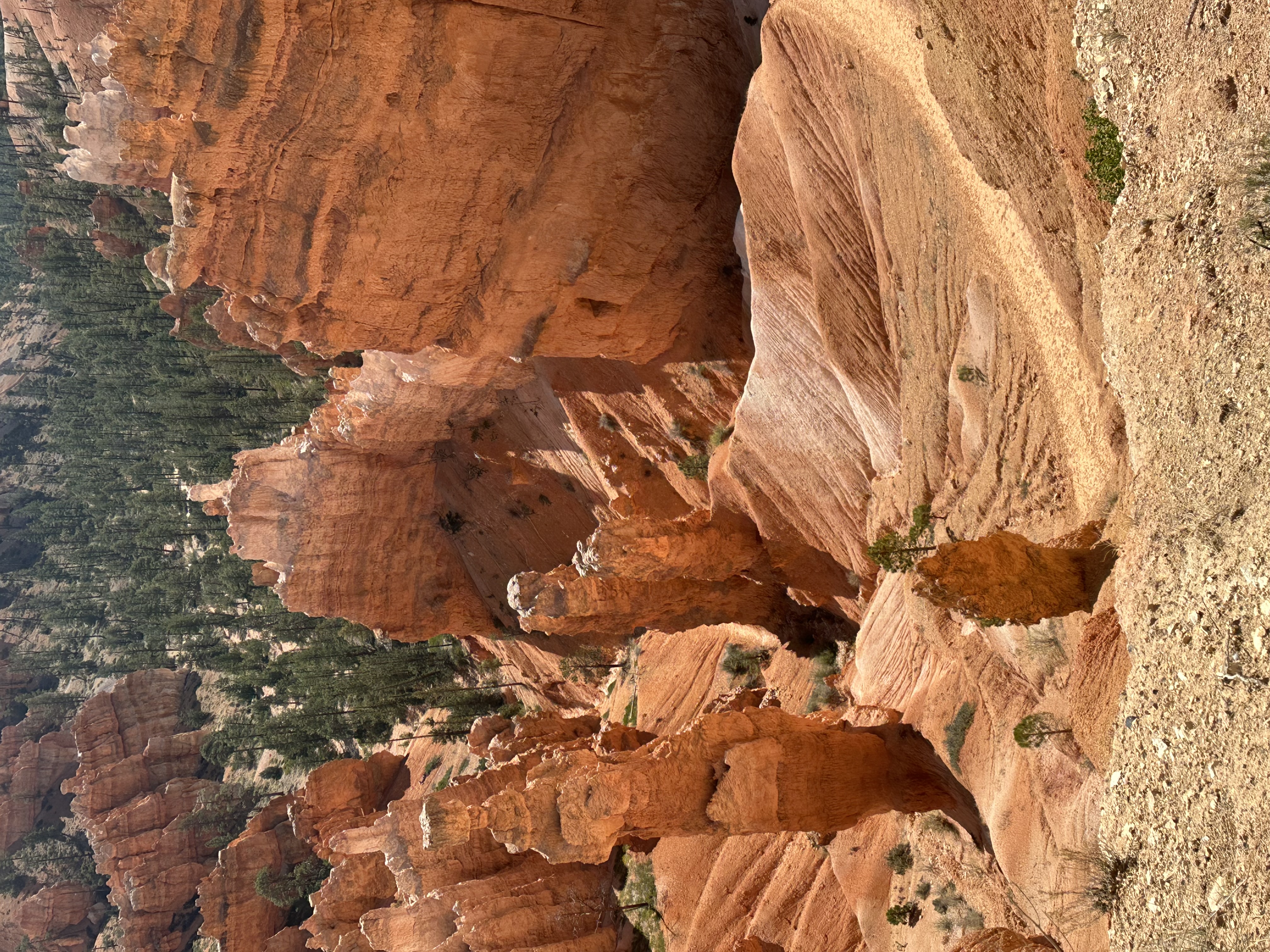 2025-05: Bryce Canyon National Park