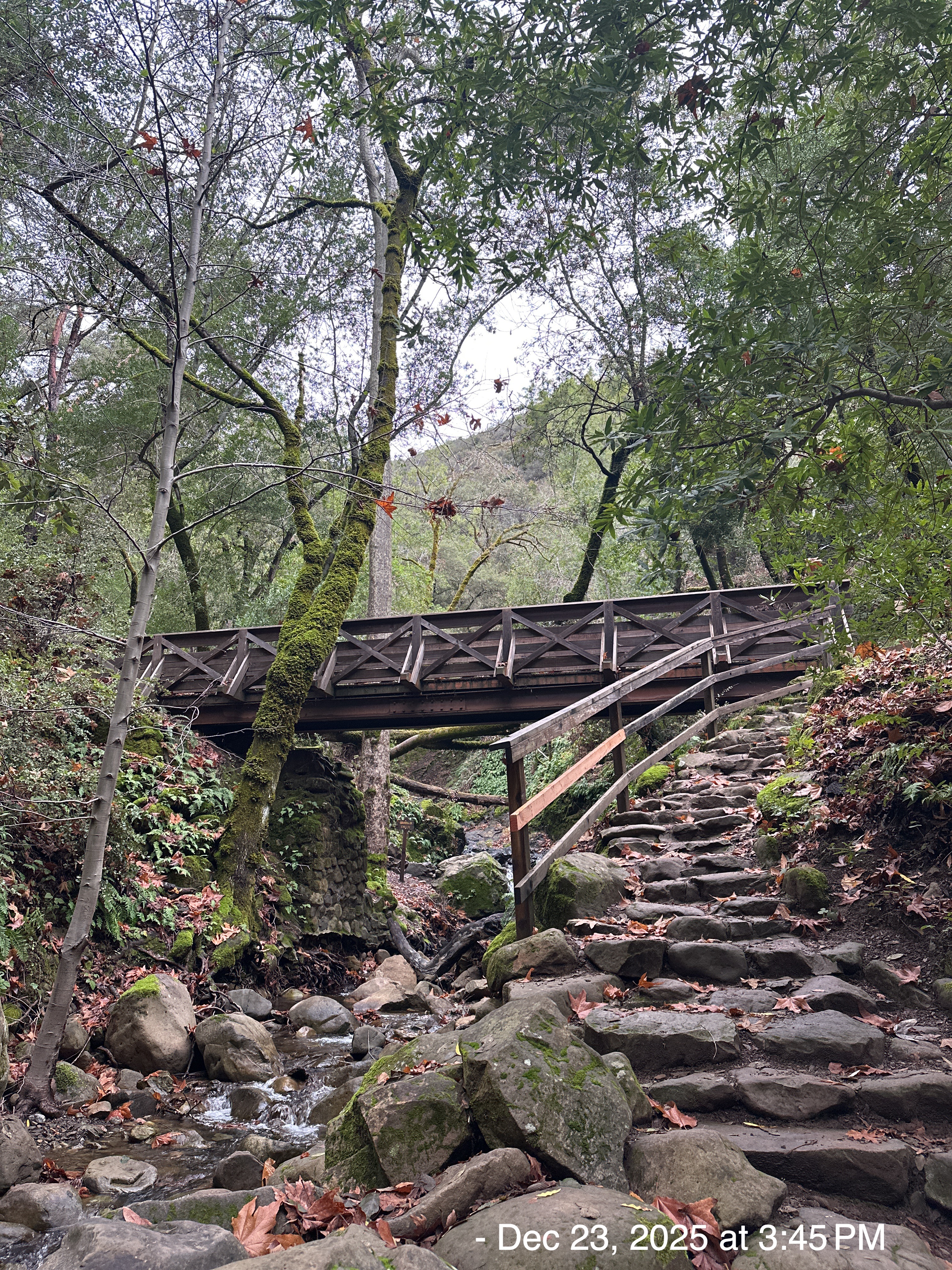 2025-12: Uvas Canyon County Park