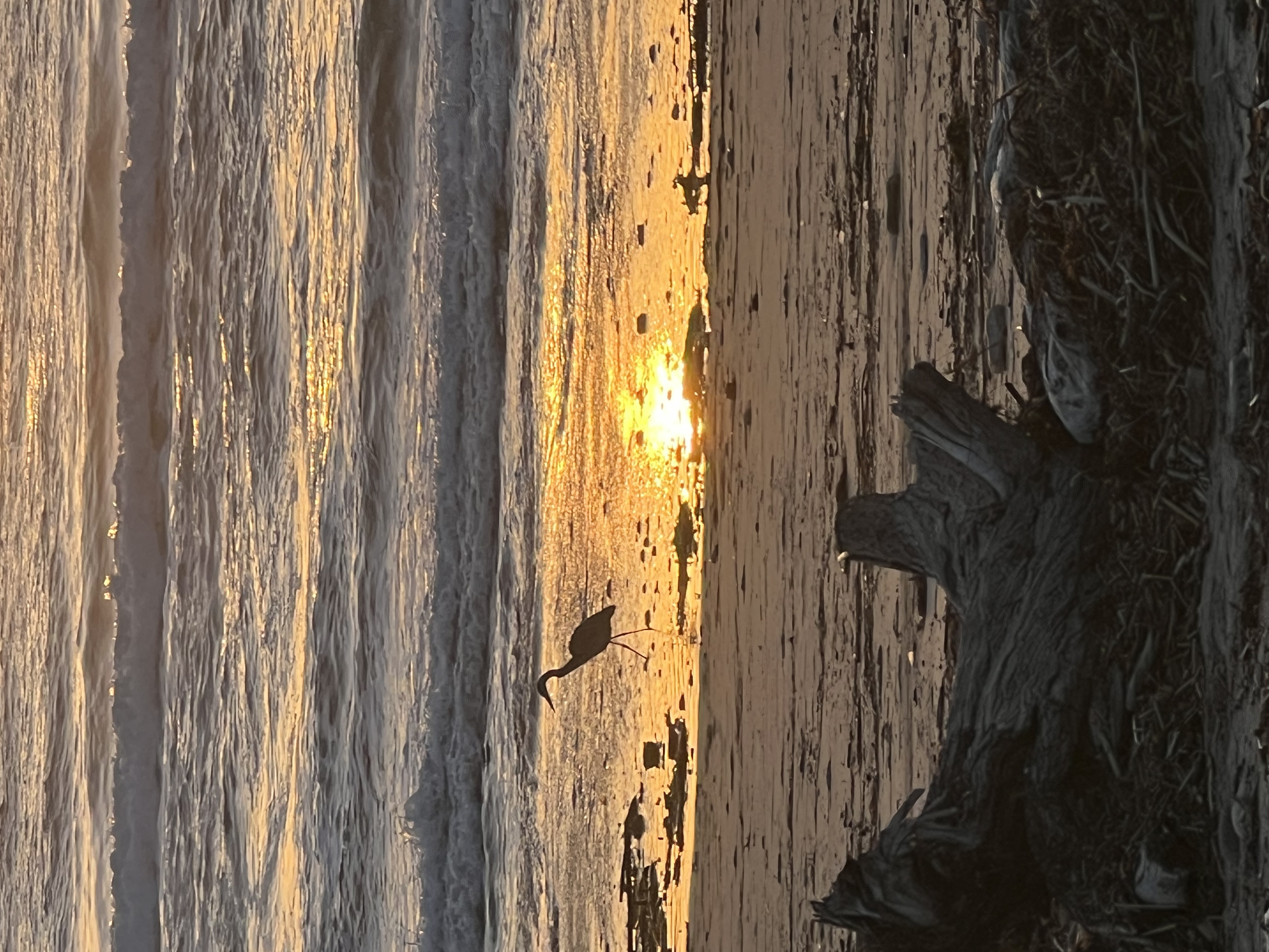 2026-02: Jalama Beach